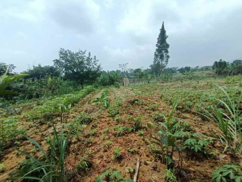 murah tanah ciapus bogor best view