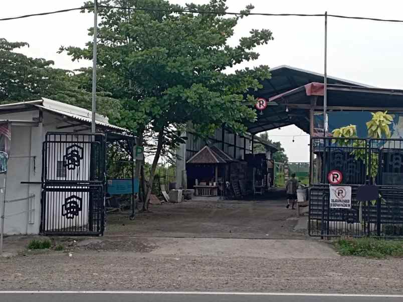 murah tanah gudang bebas banjir raya kedamean gresik