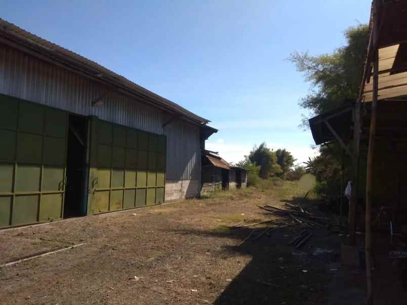 murah tanah gudang bebas banjir raya kedamean gresik