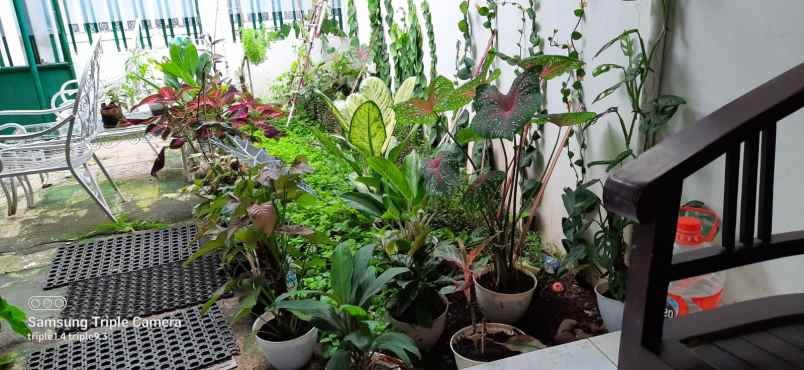 rumah dijual daerah cilandak jakarta selatan