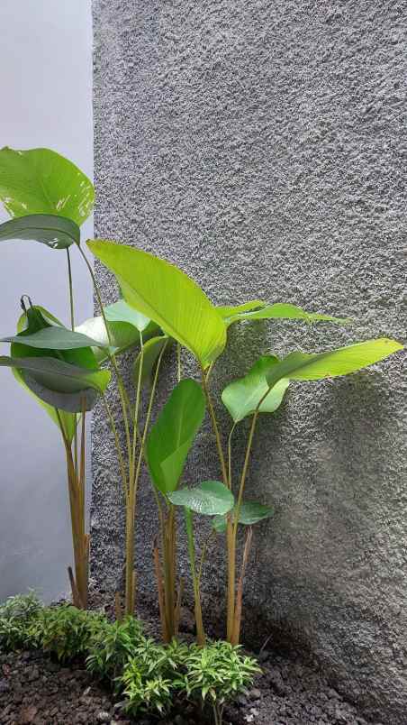 rumah murah desain cantik 8 menit ke sleman city hall