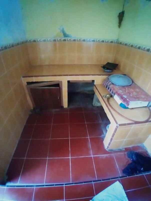 rumah patiunus gayamsari semarang