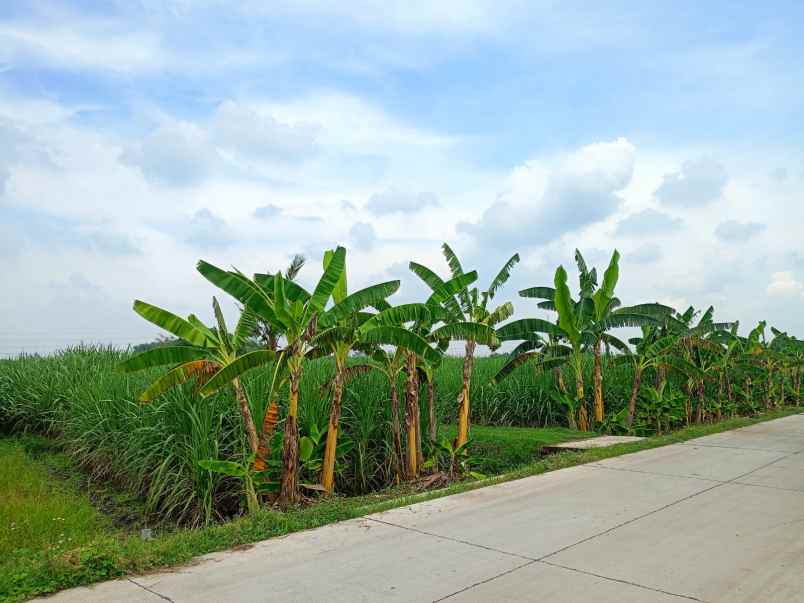 tanah 10 300 meter cocok untuk perumahan