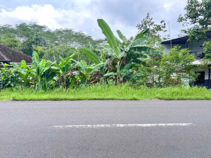 tanah 375 juta strategi buka usaha karangpandan