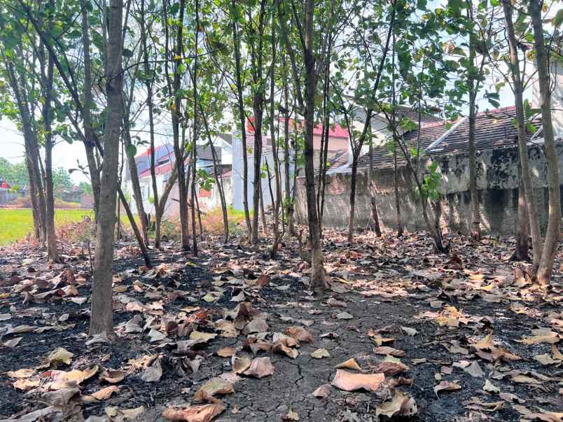 tanah 3900m kawasan strategis sragen