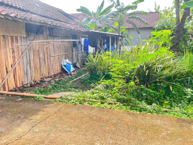 tanah 55 juta dekat pasar jambangan kedawung sragen