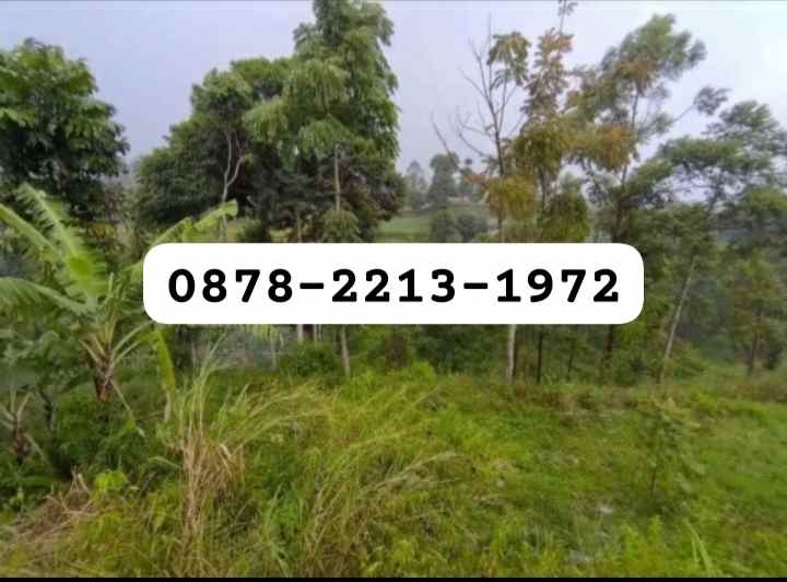 tanah bagus untuk villa dekat ke lembang kota