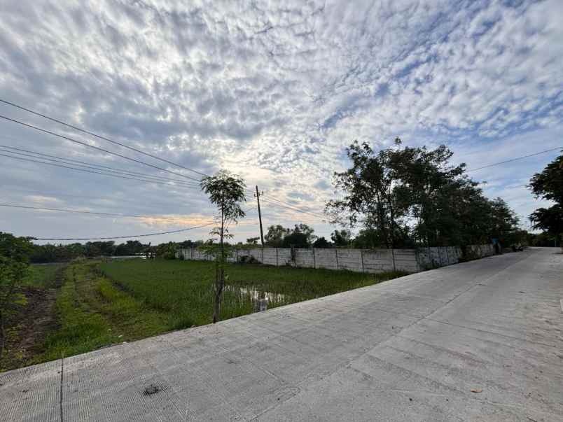 tanah cerme gresik jual cepat