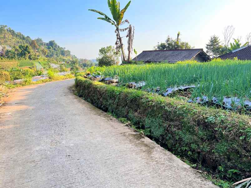 tanah datar kemuning ngargoyoso karanganyar