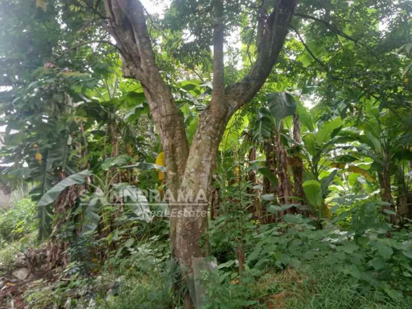 tanah dijual 341m2 mampang depok kusmel