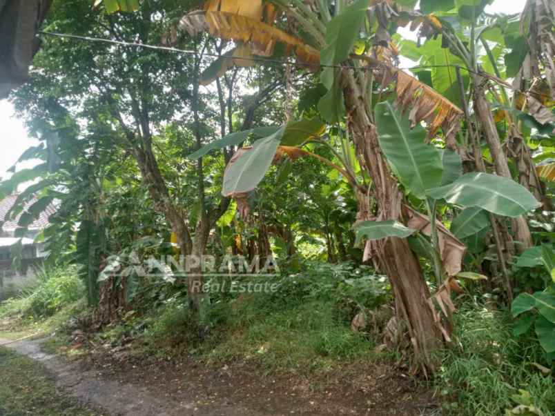 tanah dijual 341m2 mampang depok kusmel