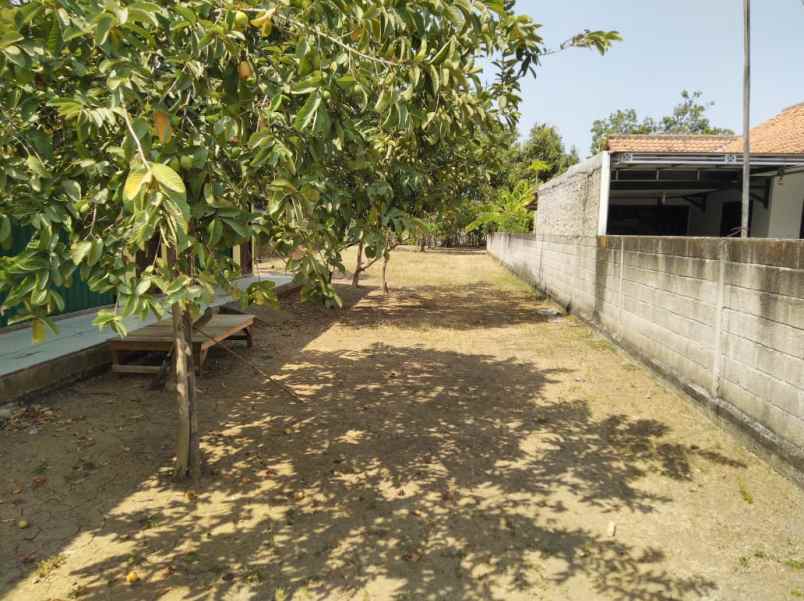 tanah jl raya muara rt 13 rw 05