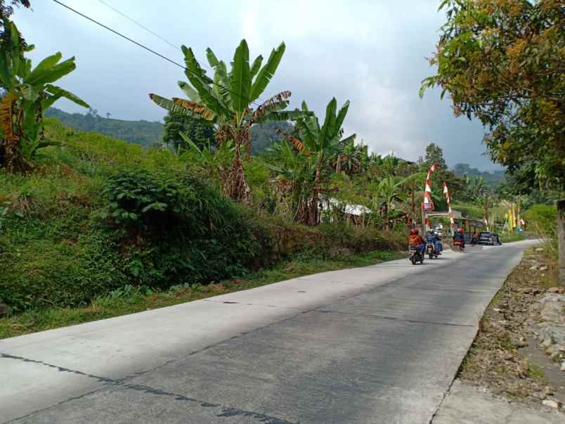 tanah kemuning ngargoyoso