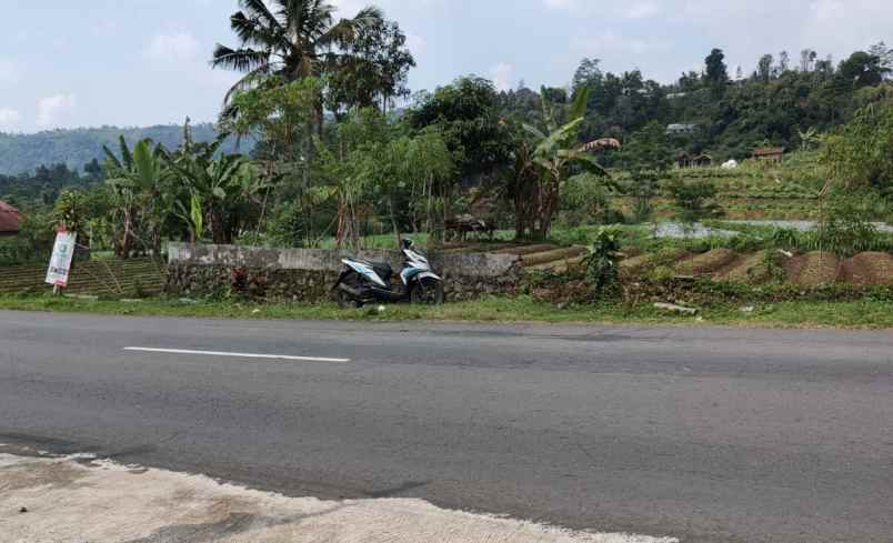 tanah kemuning ngargoyoso