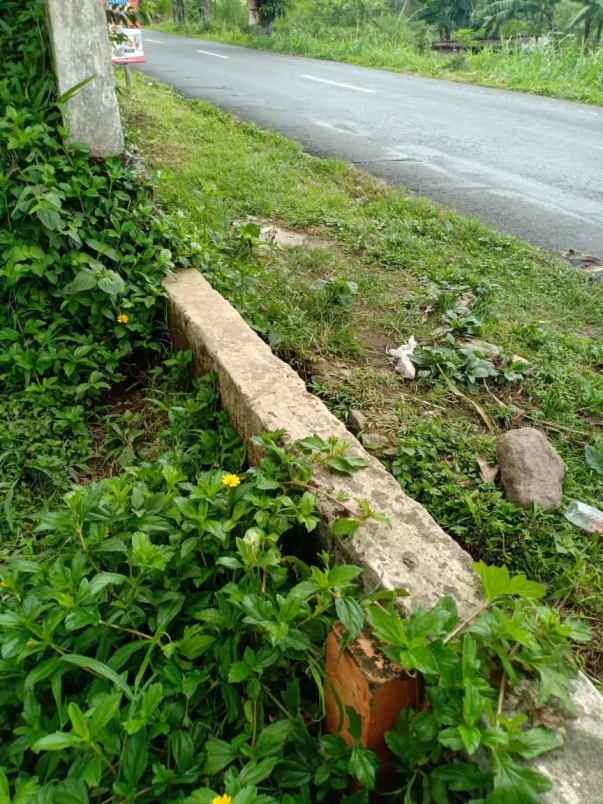 tanah kemuning ngargoyoso