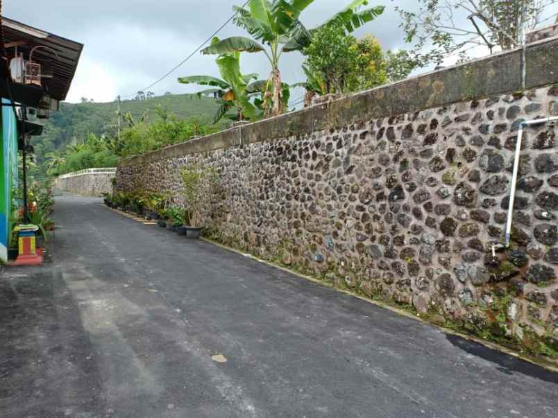 tanah kemuning ngargoyoso