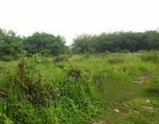 tanah luas 51 749 m2 setu bekasi