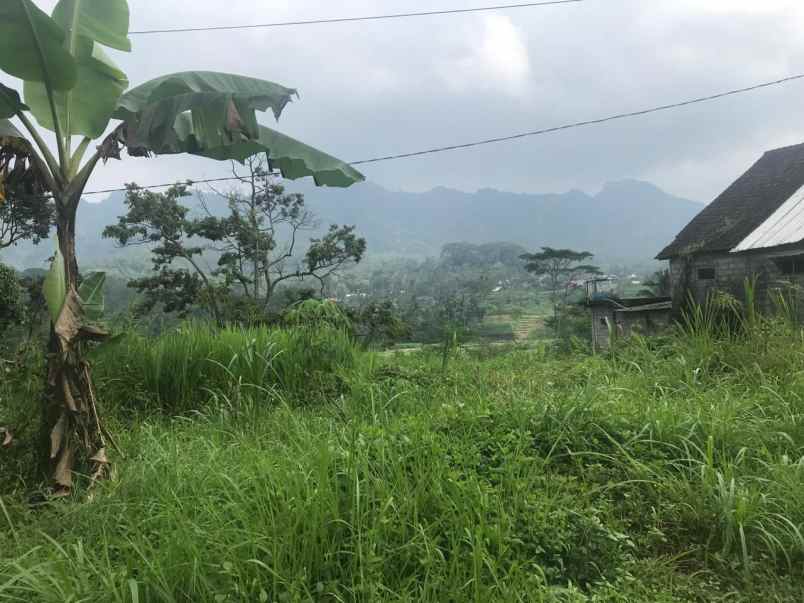 tanah nol jalan propinsi area ngantang malang