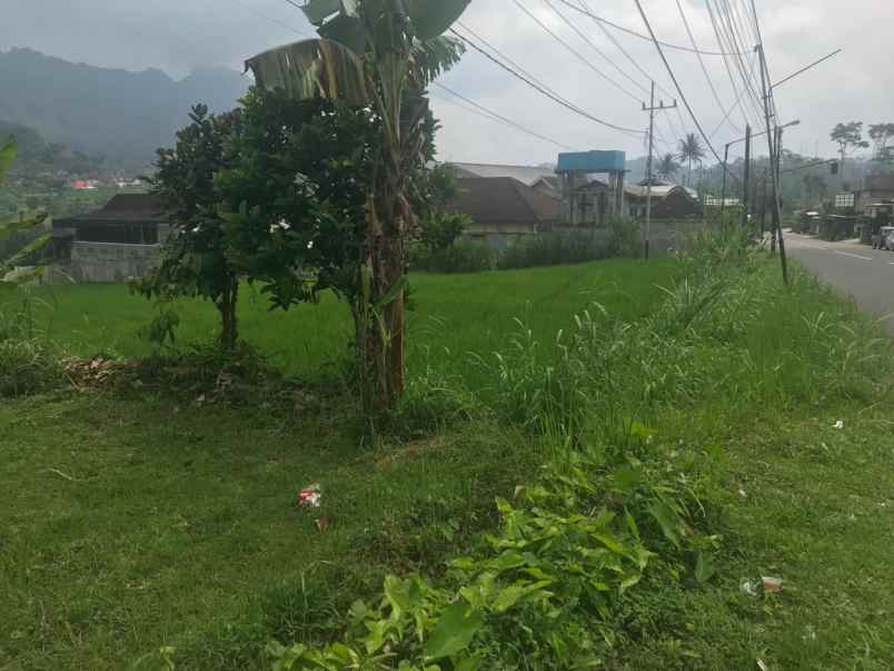 tanah nol jalan propinsi area ngantang malang