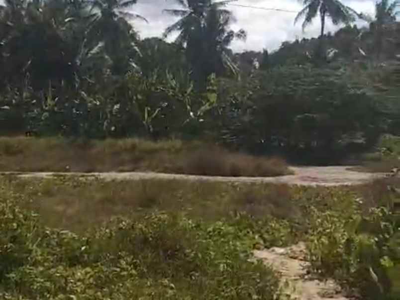 tanah pantai mutun di lampung luas 11 117m 1 1 hektar