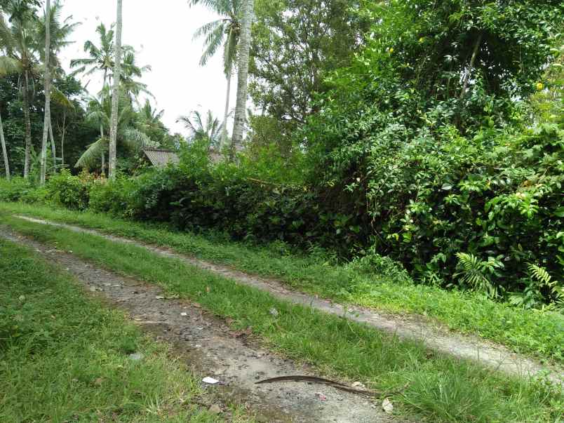 tanah pantai soka selemadeg tabanan