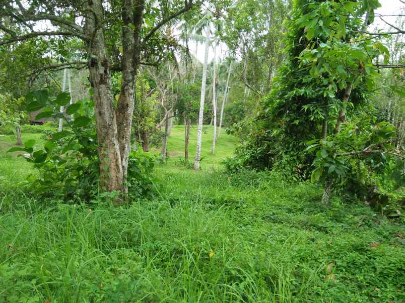 tanah pantai soka selemadeg tabanan