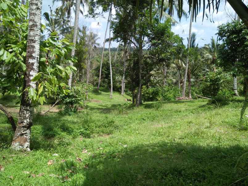 tanah pantai soka selemadeg tabanan