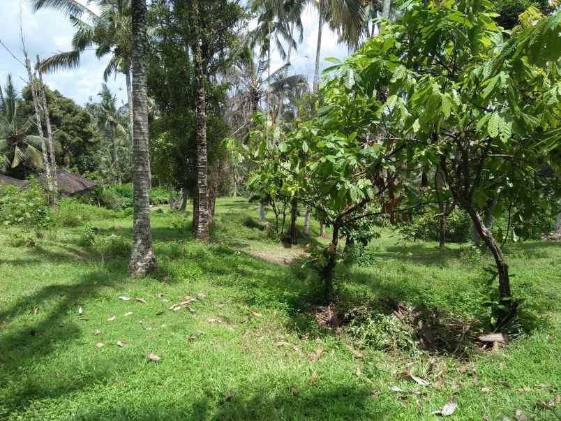 tanah pantai soka selemadeg tabanan