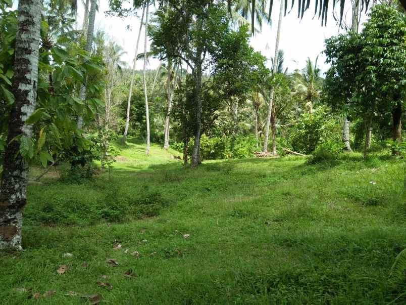 tanah pantai soka selemadeg tabanan