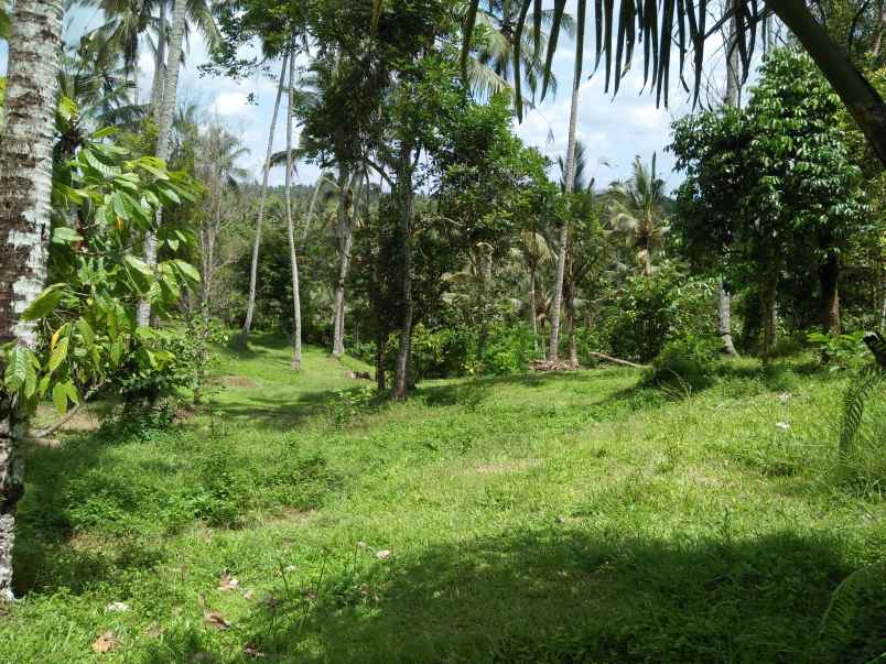 tanah pantai soka selemadeg tabanan