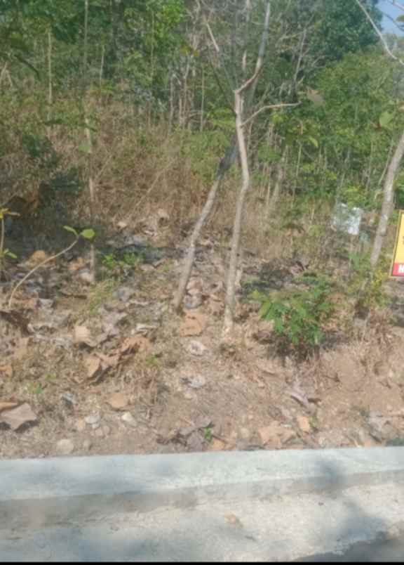 tanah pekarangan siap bangun