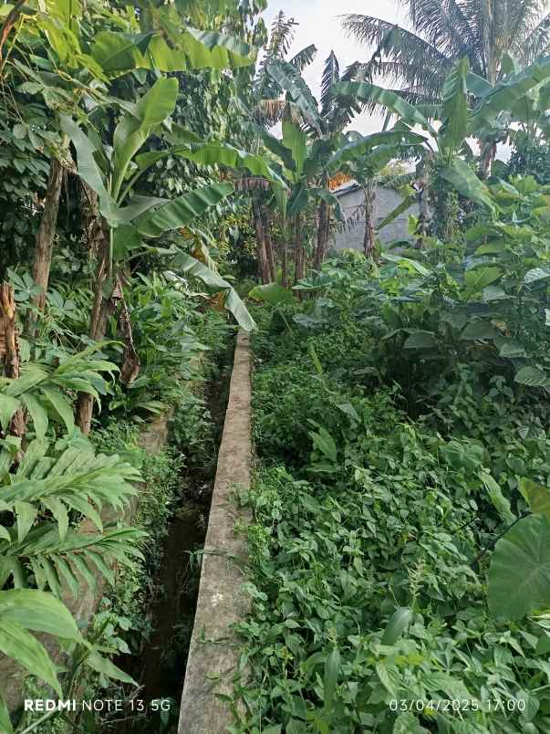 tanah sangat strategis dan murah