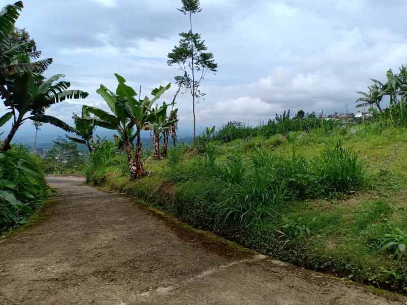 tanah selatan terminal wisata