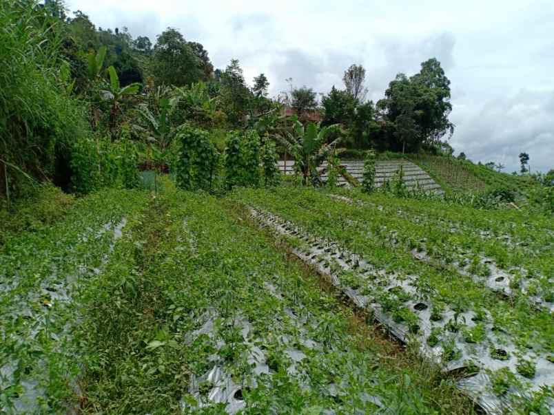 tanah selatan terminal wisata