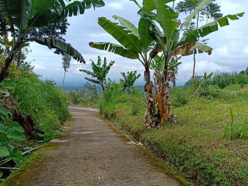 tanah selatan terminal wisata