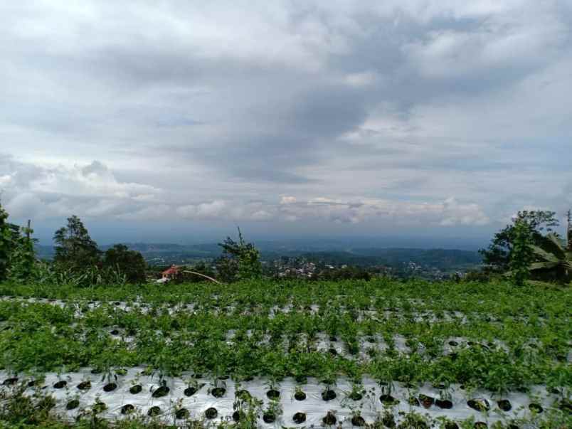 tanah selatan terminal wisata