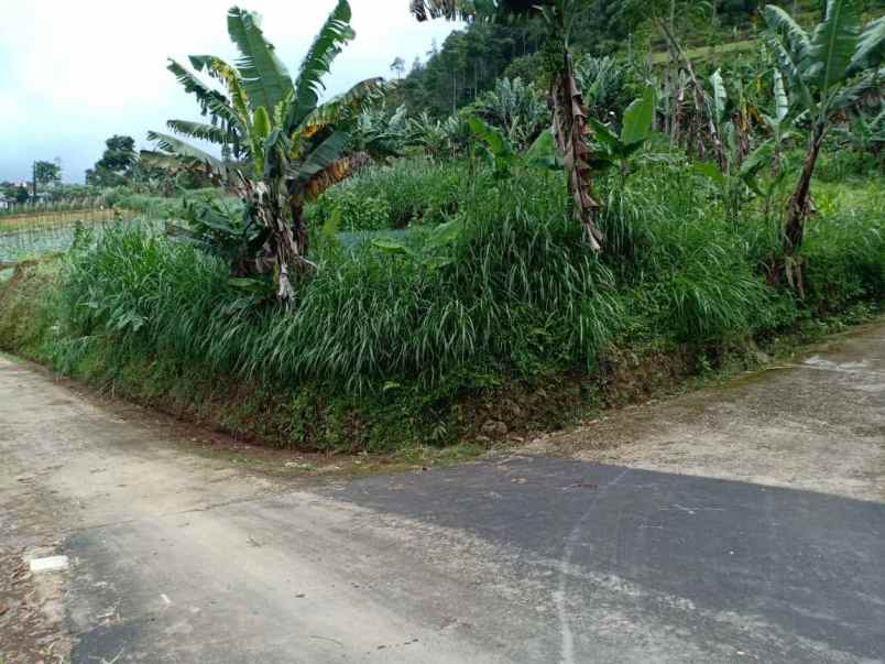 tanah selatan terminal wisata