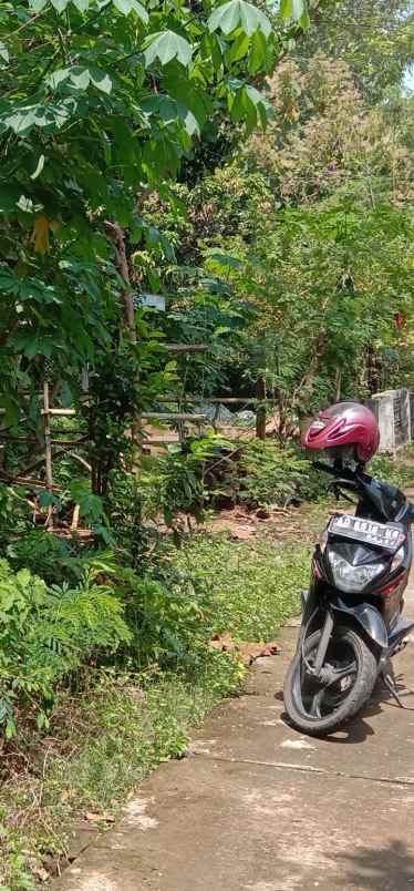 tanah sireng kenekorejo