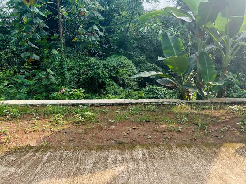 tanah subur 1472m hanya 250jt ngargoyoso
