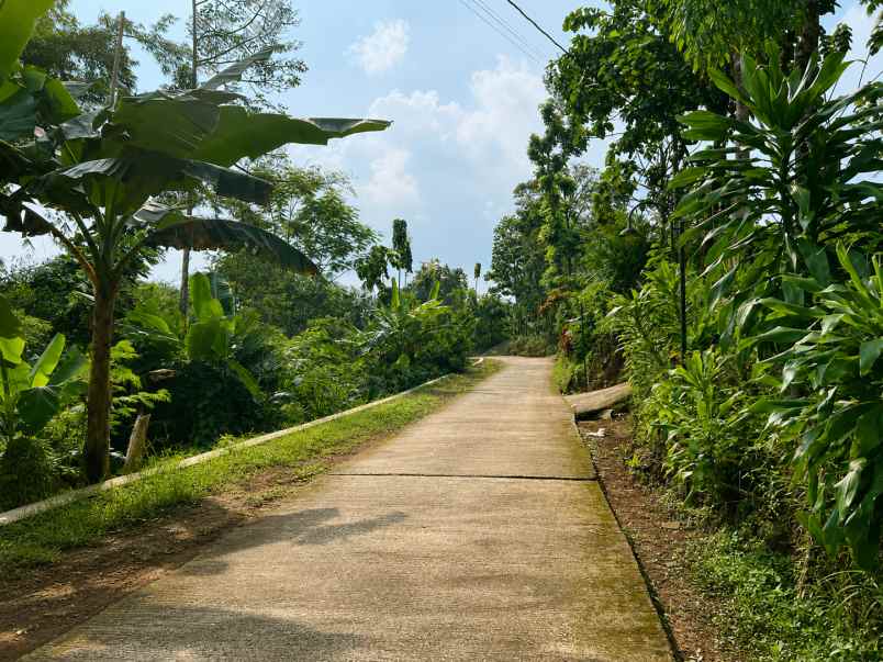 tanah subur 1472m hanya 250jt ngargoyoso