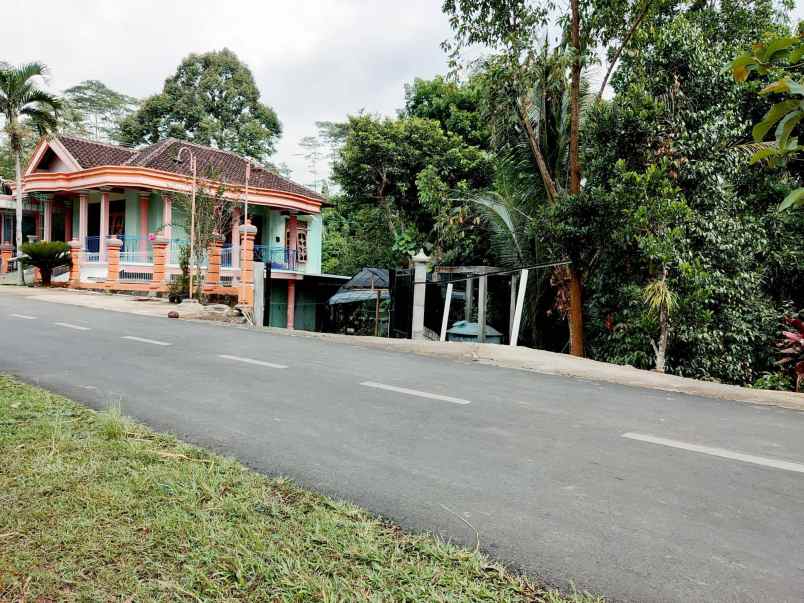 tanah tepi jl raya kerjo