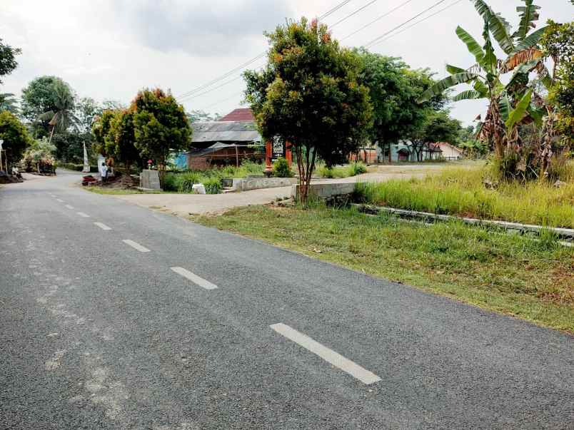 tanah tepi jl raya kerjo