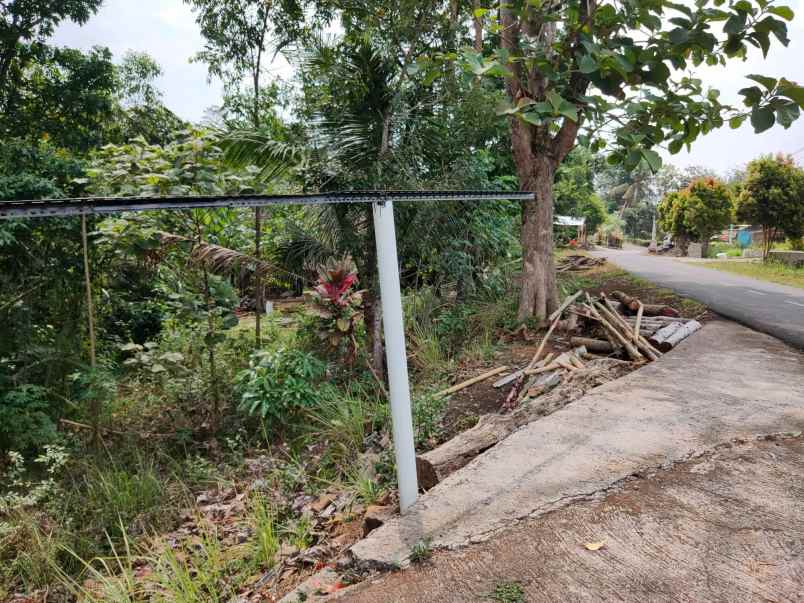 tanah tepi jl raya kerjo