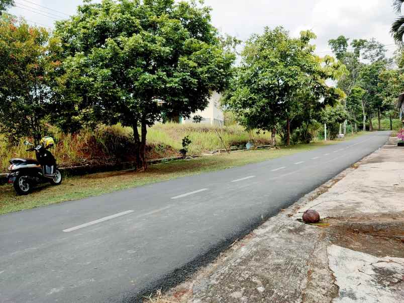 tanah tepi jl raya kerjo