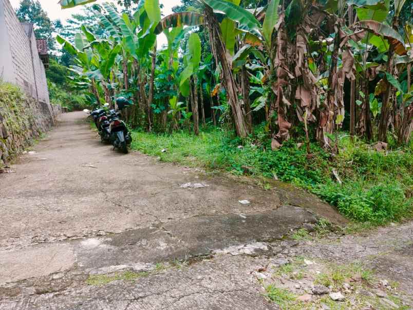 tanah timur pasar mojogedang