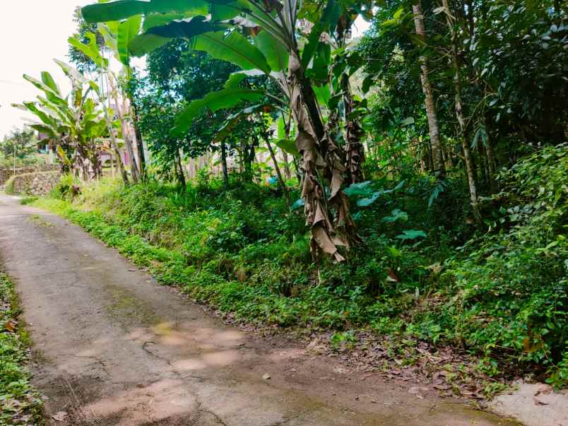 tanah timur pasar mojogedang