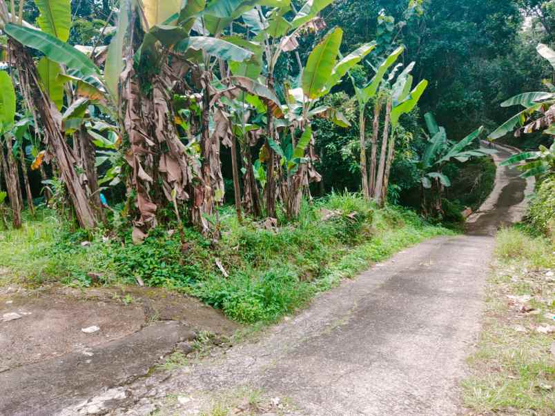tanah timur pasar mojogedang