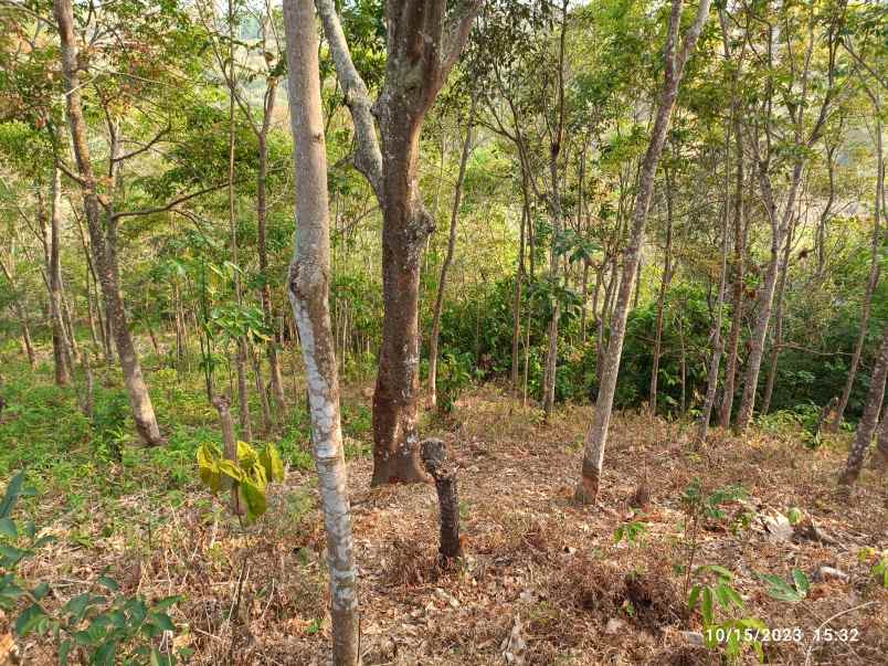 tanah view laut di kemiling luas 4500m