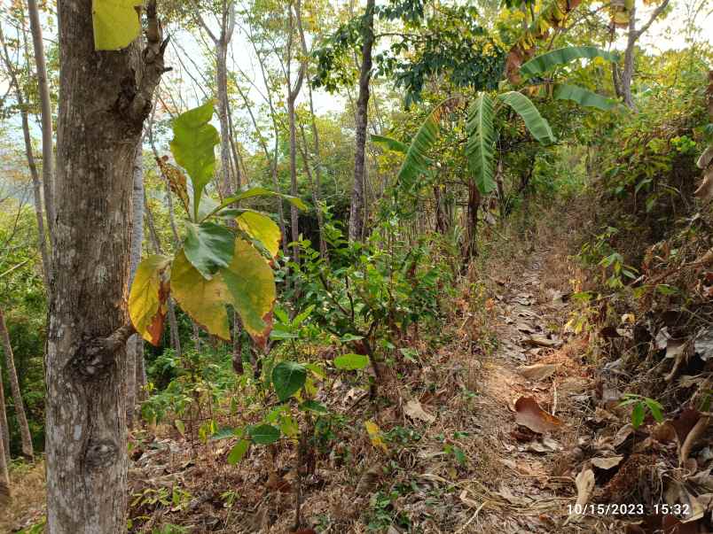 tanah view laut di kemiling luas 4500m
