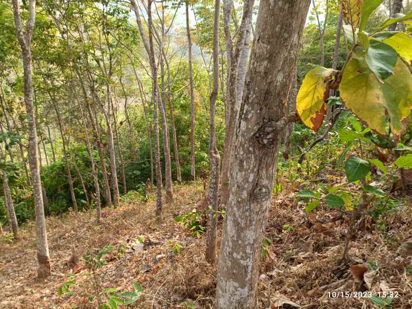 tanah view laut di kemiling luas 4500m